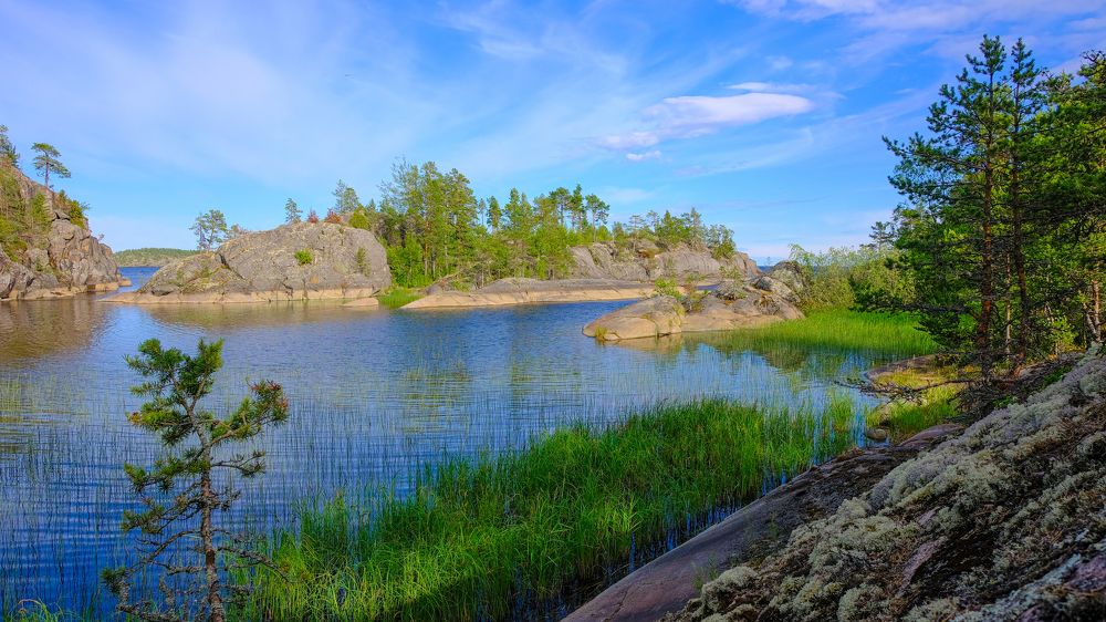 Photograph by Александр Елизаров