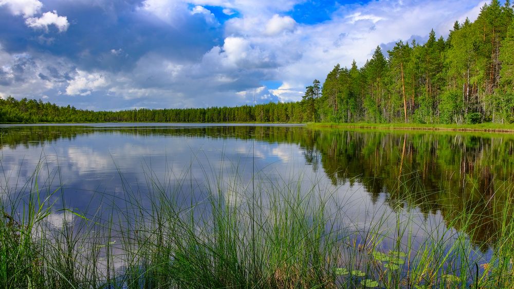 Photograph by Александр Елизаров