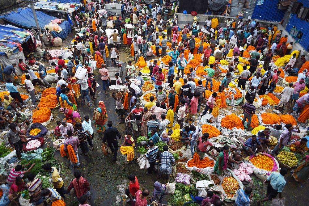 Фотография автора Shyam Sundar Ray