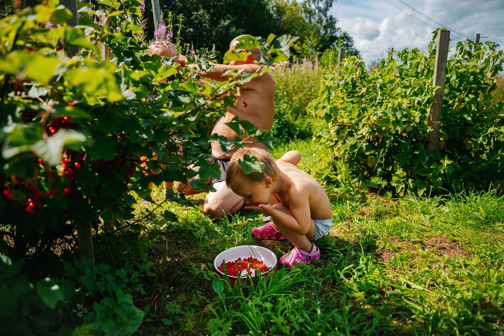 Photograph by Людмила Пахомова