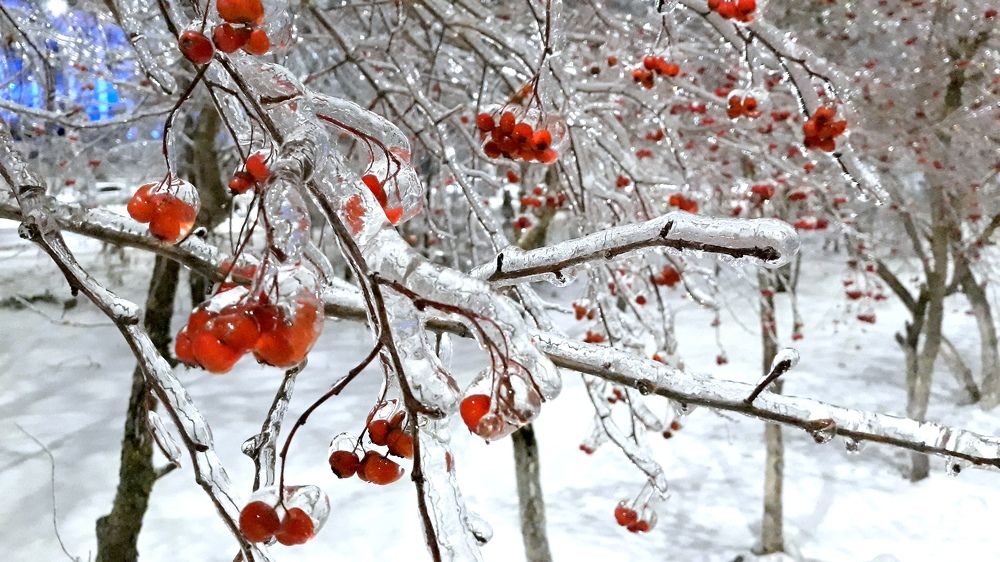 Photograph by Блюмина Елена