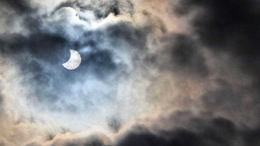 Photograph by Юлия Шаталова