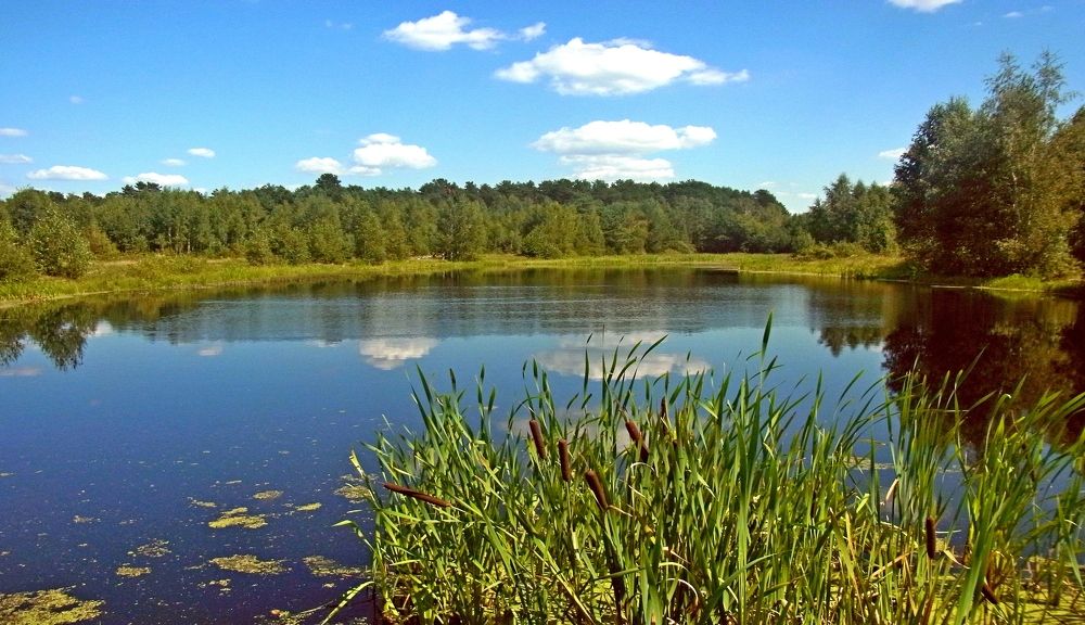 Photograph by леонид натапов