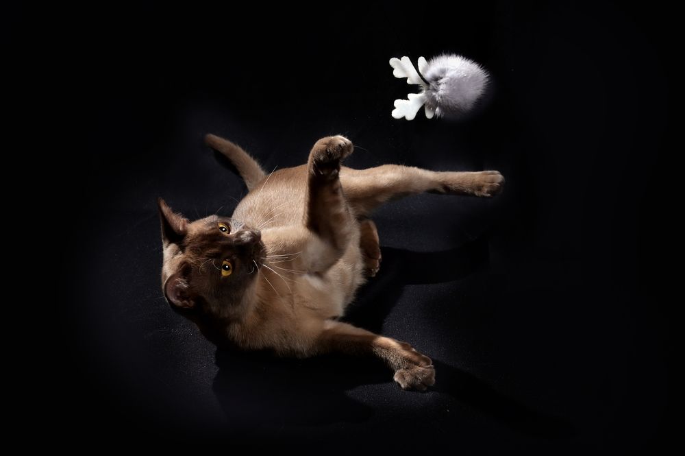 Photograph by Наталия Моргунова