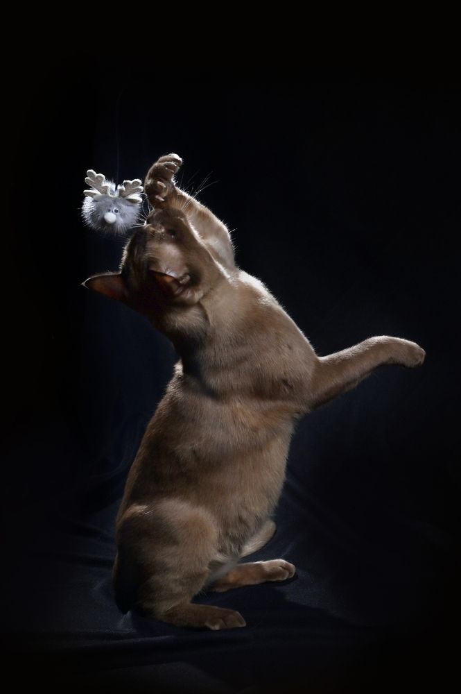 Photograph by Наталия Моргунова