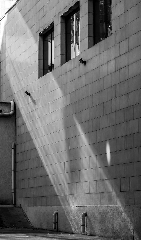 Фотография автора Андрей Симонов