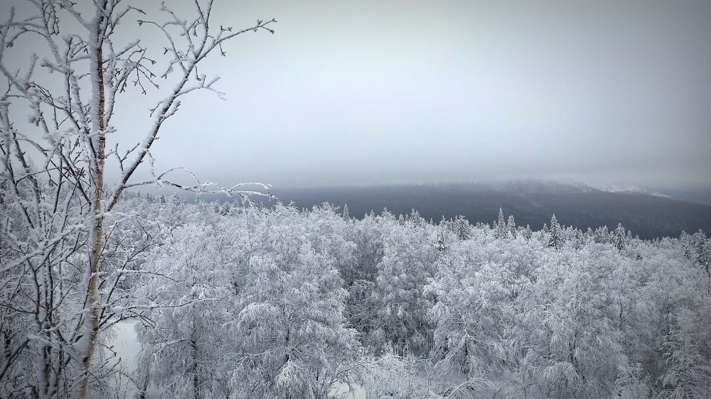 Photograph by Ольга Метлицкая