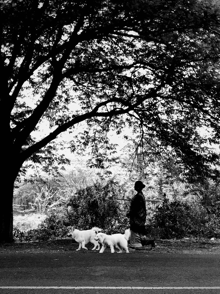 Photograph by Udhaya Sankar Alias Vinith M