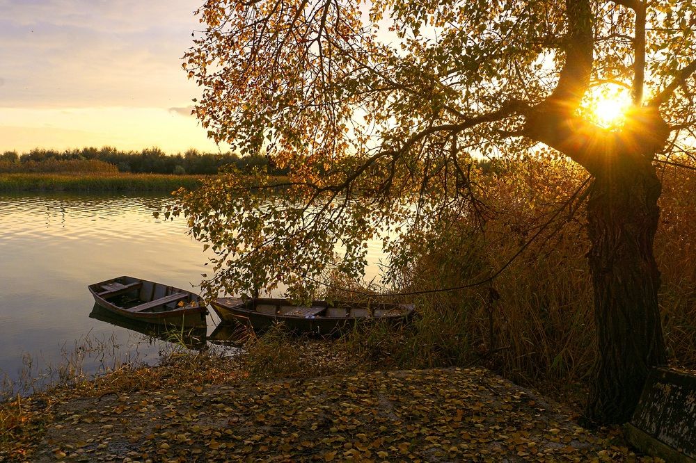 Photograph by Марина Соколова