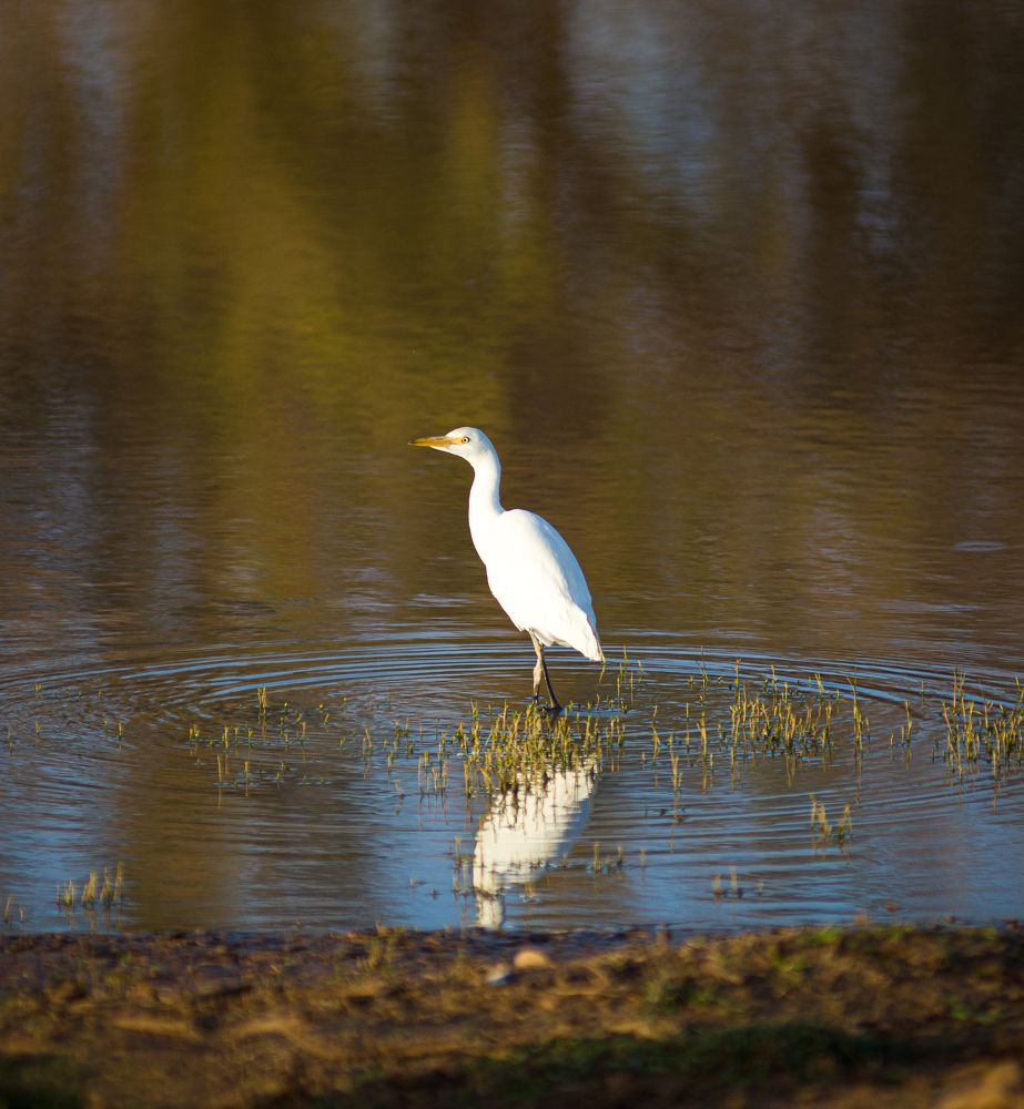 Photograph by Mohammed Elamine Belkhir