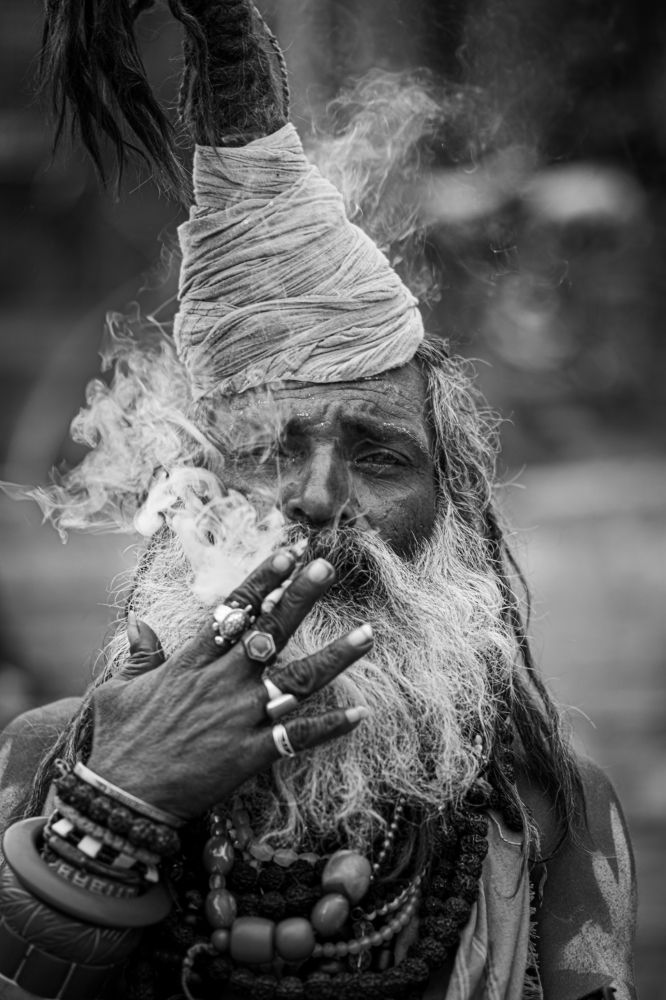 Photograph by Nivedh A M