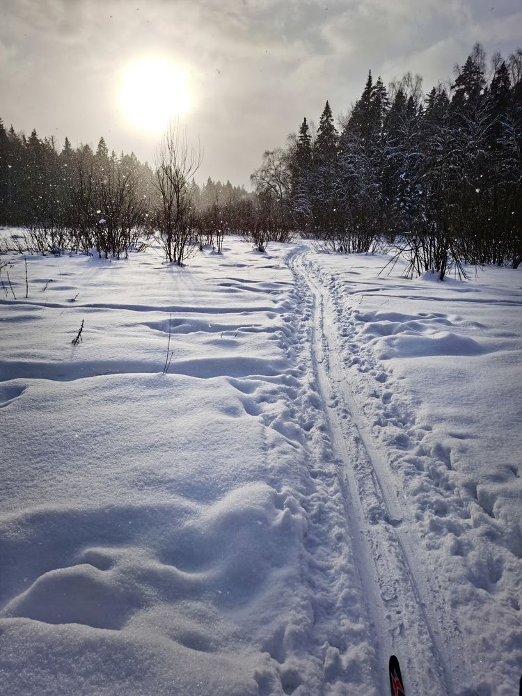 Photograph by Наталия Моргунова