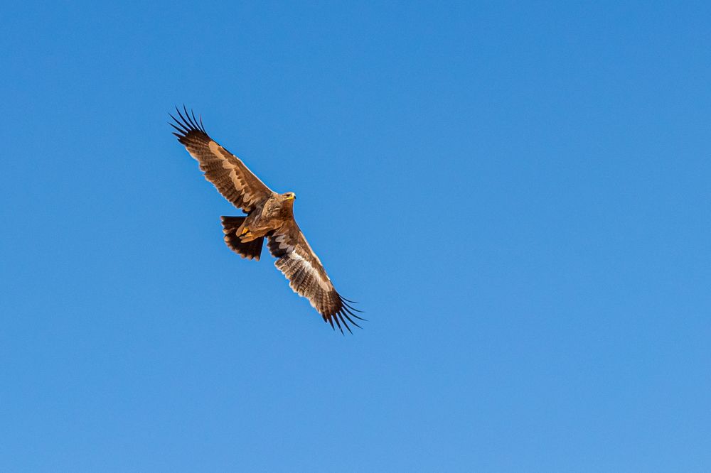 Photograph by sadegh alavi