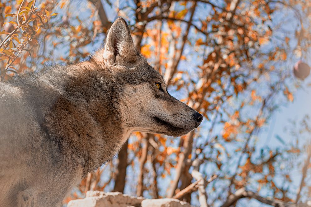 Photograph by sadegh alavi