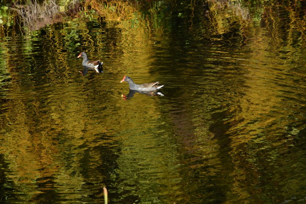 Photograph by Смирнов Сергей