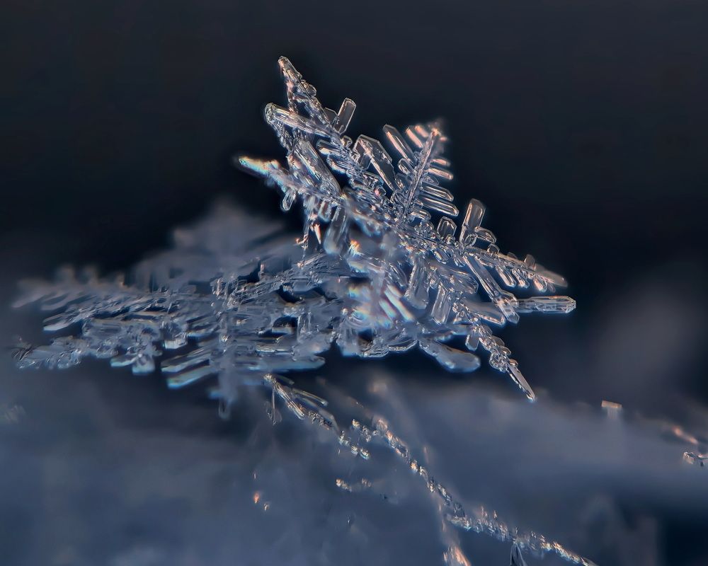 Photograph by Дмитрий Кузнецов