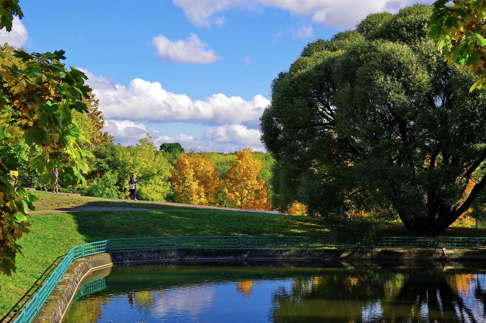 Photograph by АЛЕКСЕЙ