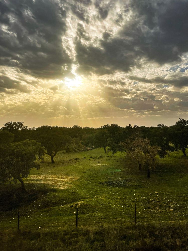 Photograph by Lucia Correia