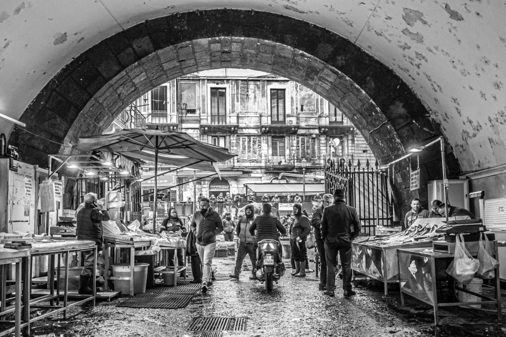 Photograph by Francisco José López Fernández