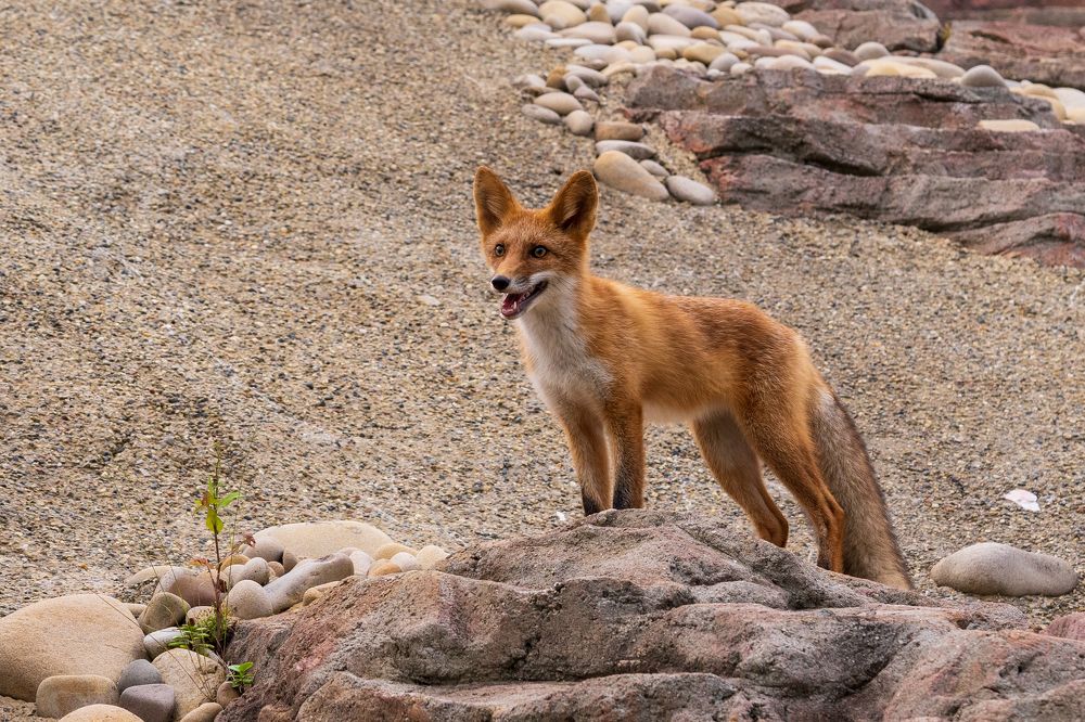 Photograph by Ignatenko Andrew