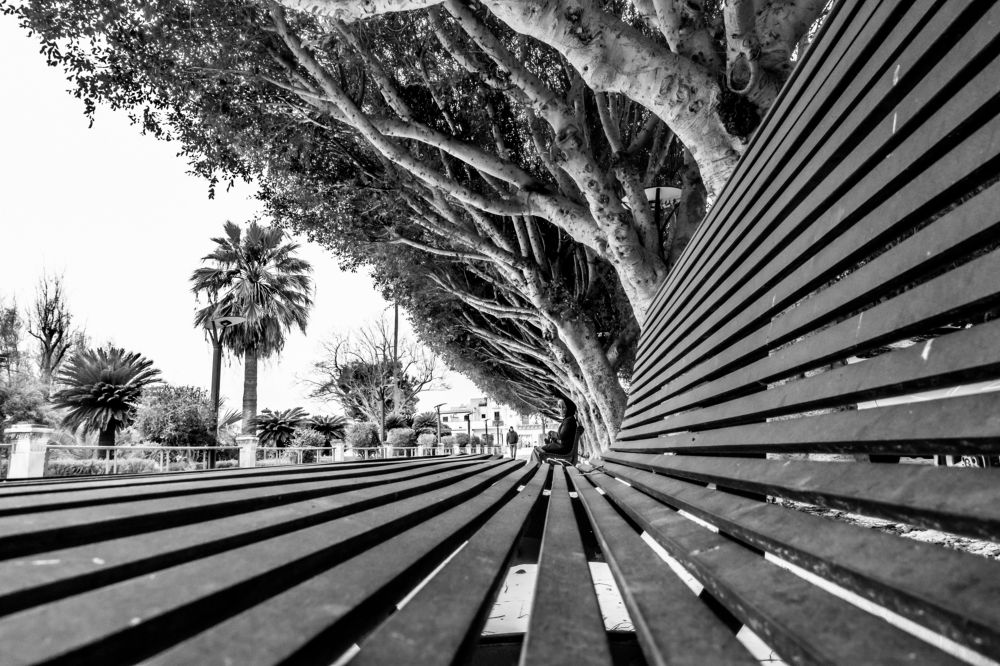 Photograph by Francisco José López Fernández