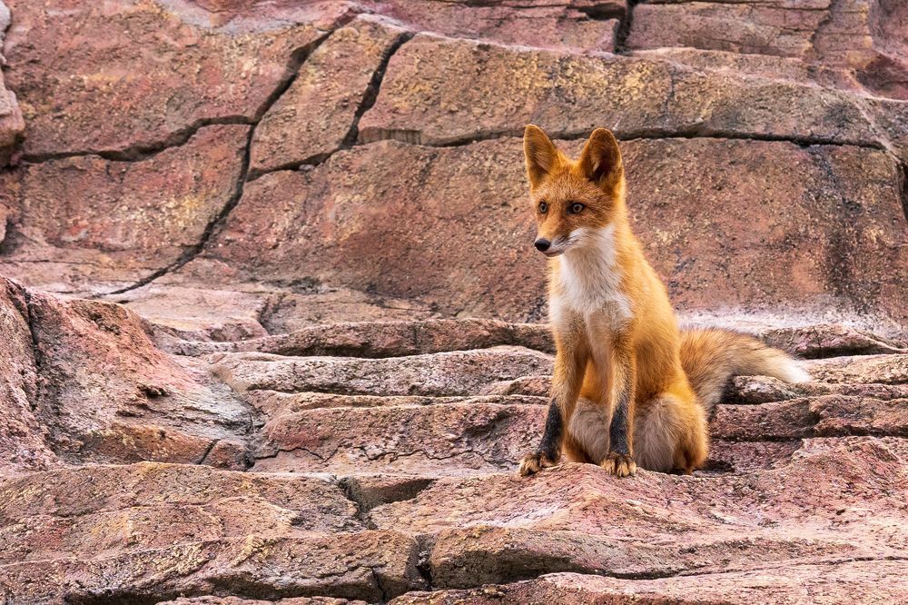 Photograph by Ignatenko Andrew