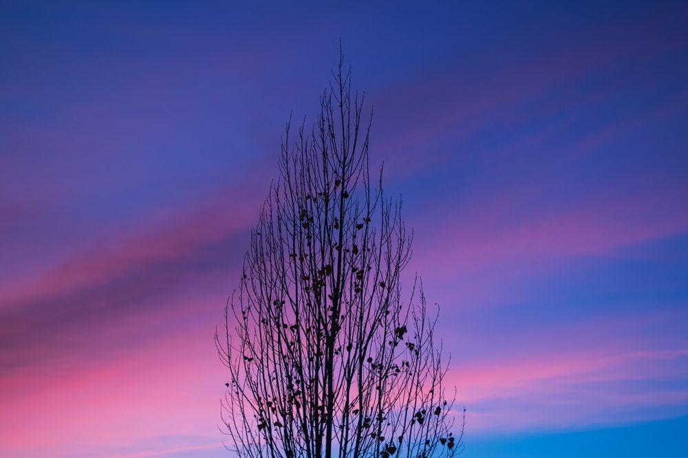 Photograph by sadegh alavi