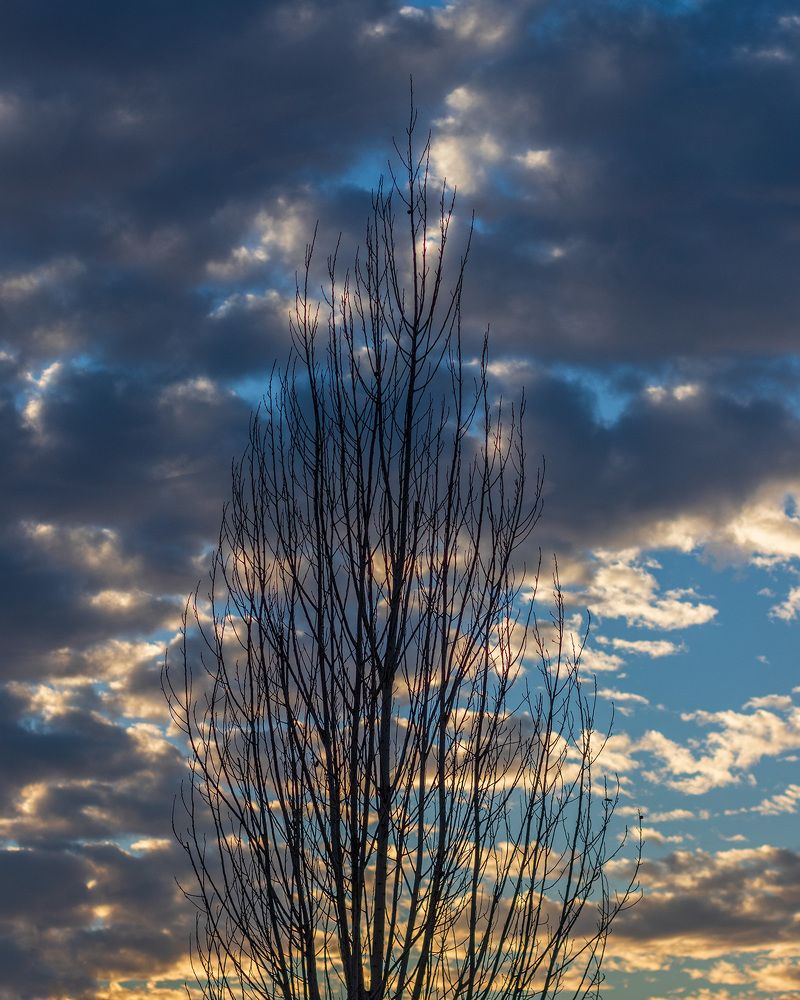 Photograph by sadegh alavi