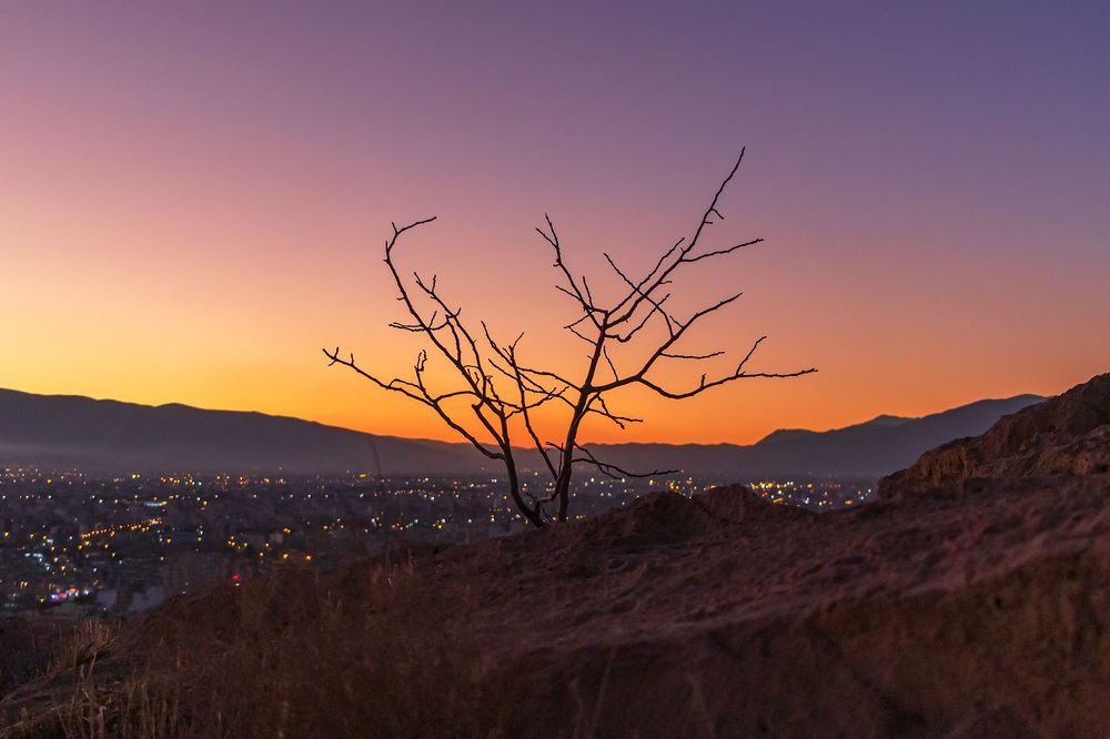 Photograph by sadegh alavi