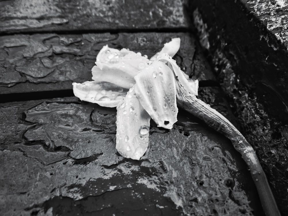 Photograph by Тата Иващенко