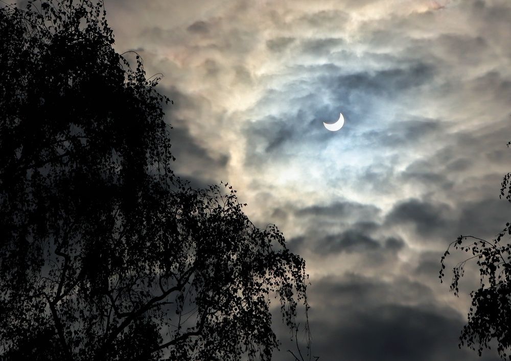 Photograph by Тата Иващенко