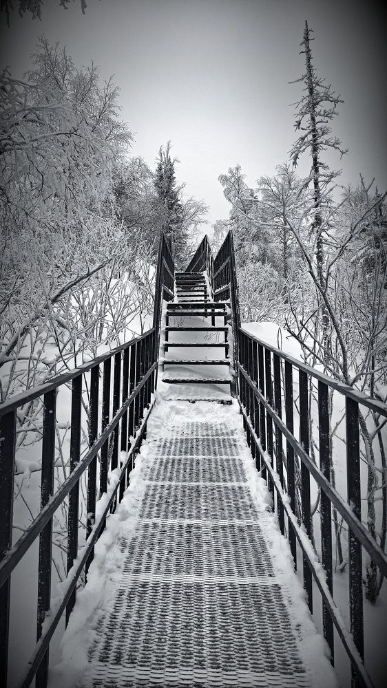 Photograph by Ольга Метлицкая