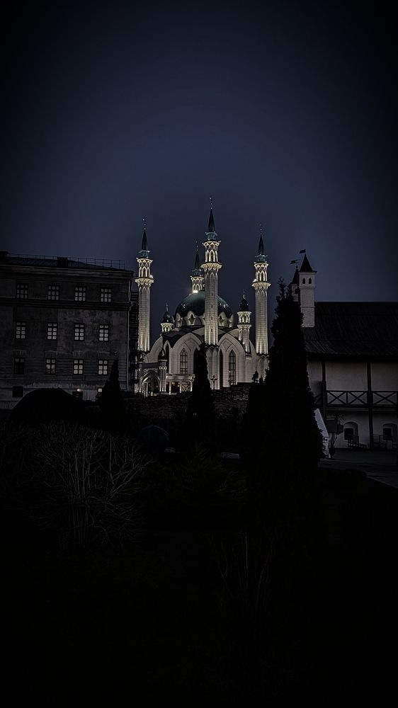 Photograph by Ольга Метлицкая