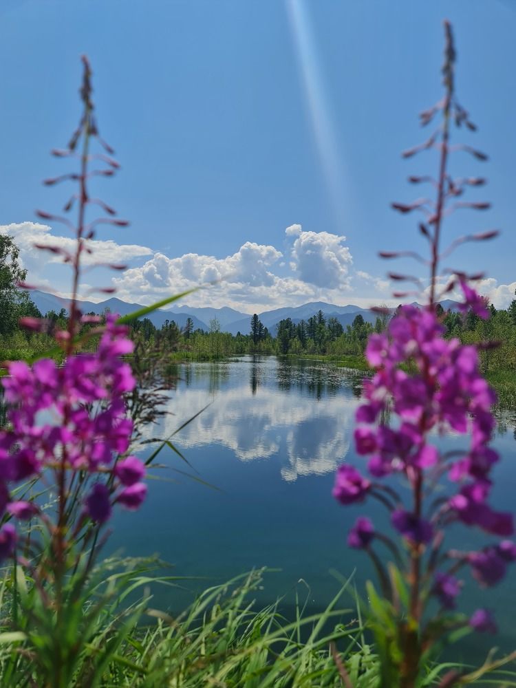 Photograph by Алексей Миронов