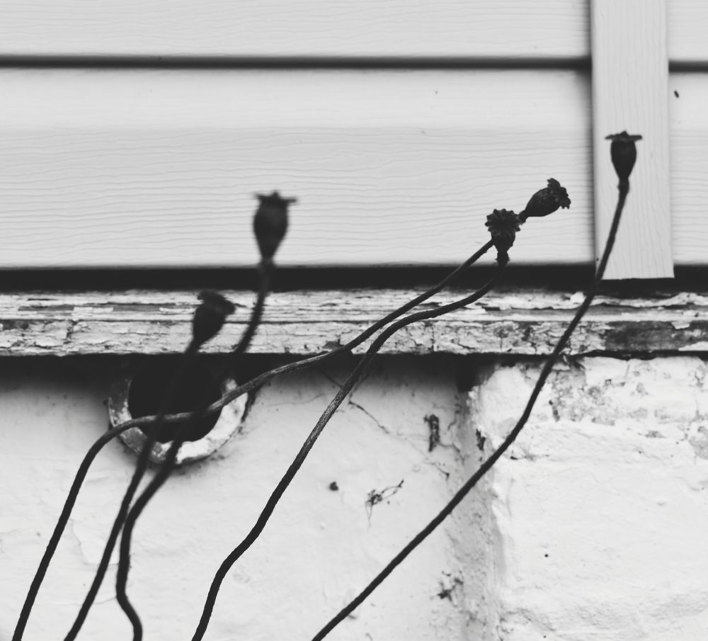 Фотография автора Екатерина