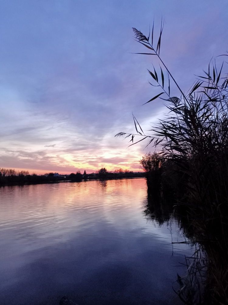 Photograph by Светлана Узинцева