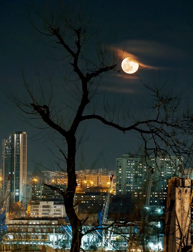 Photograph by Матвей Матвеев