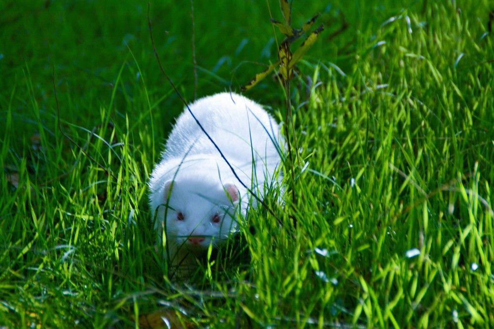 Photograph by Дмитрий Шумский