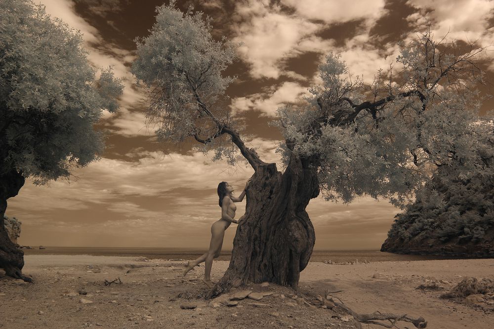 Photograph by Nenov Angel