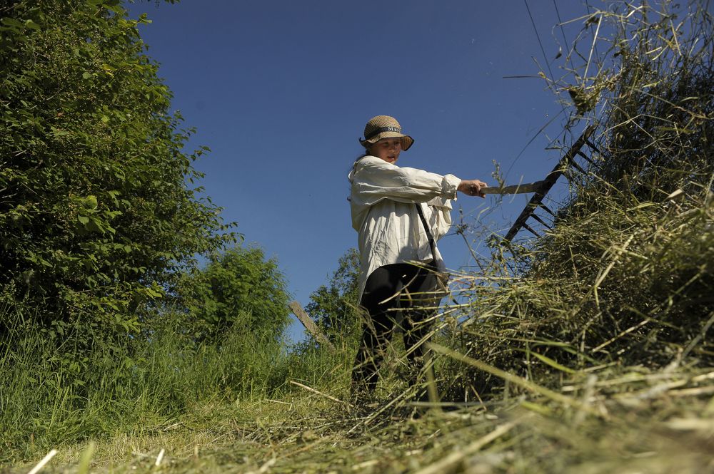 Photograph by Геннадий Тикка