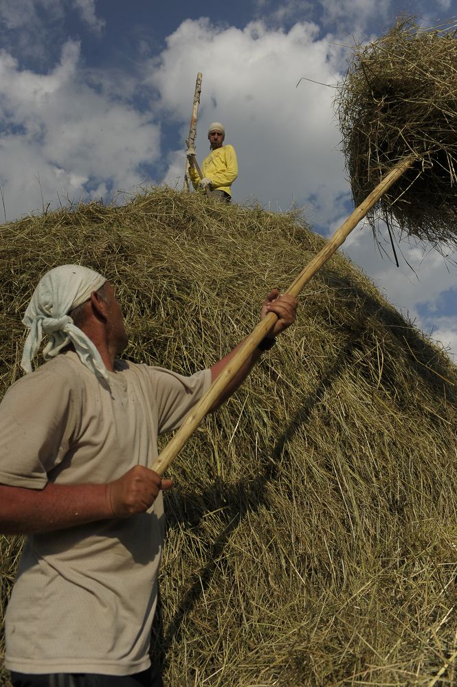Photograph by Геннадий Тикка