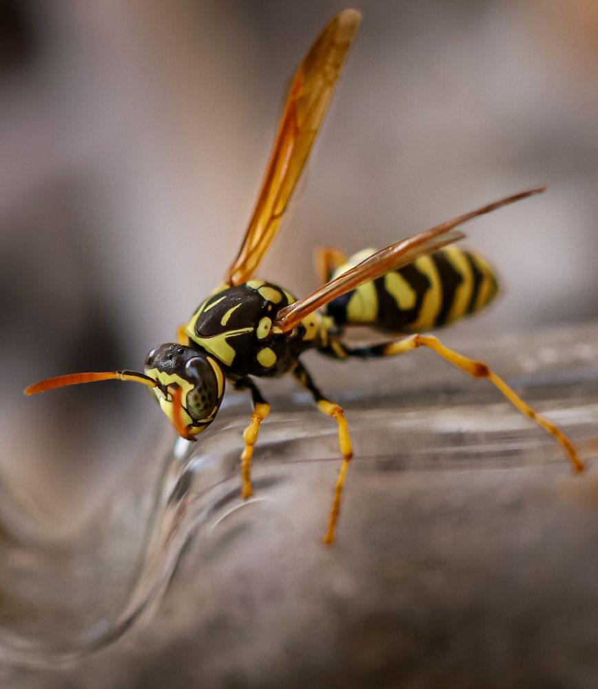 Photograph by Оксана Сафина