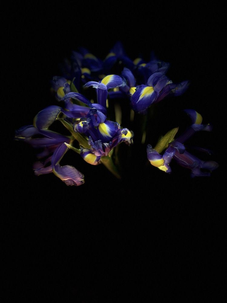 Photograph by Лыжин Григорий