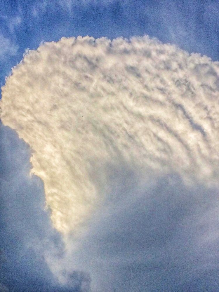 Photograph by Анастасия Игошина