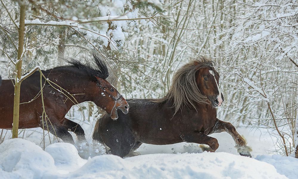 Photograph by Алина Жук