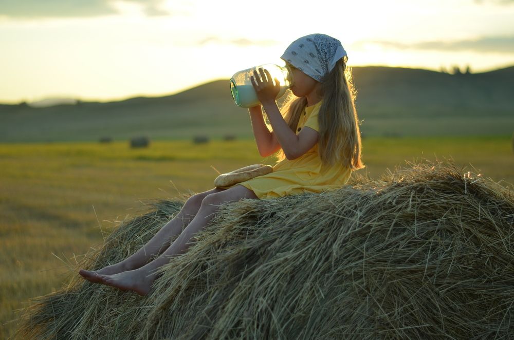 Поле Башкирии