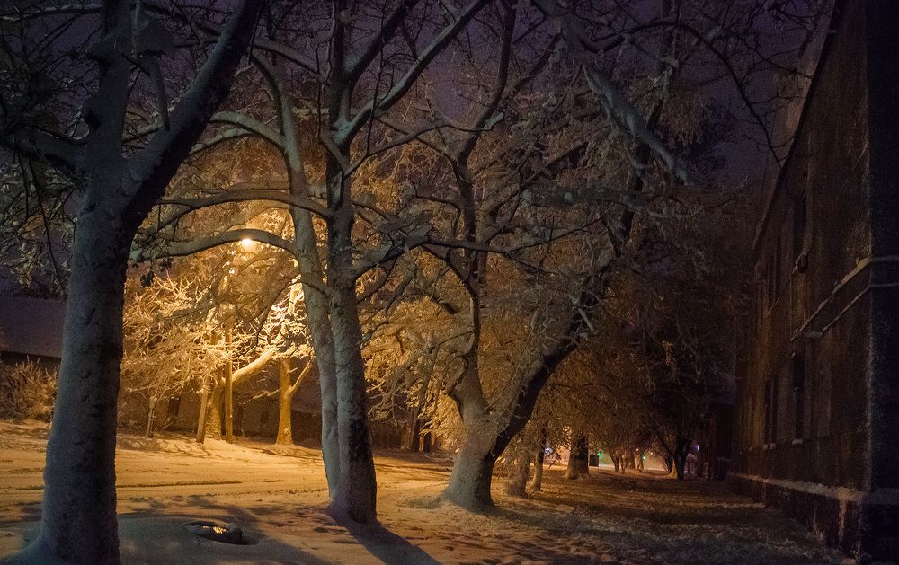 Фотография автора Алла Антонова