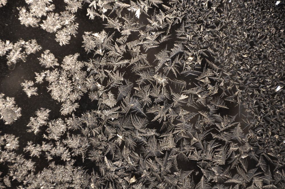 Photograph by Ольга Струкалина