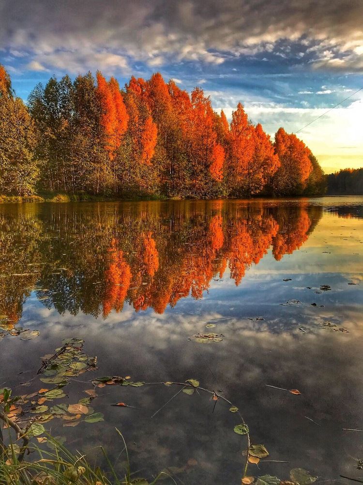 Photograph by Анастасия Самигуллина