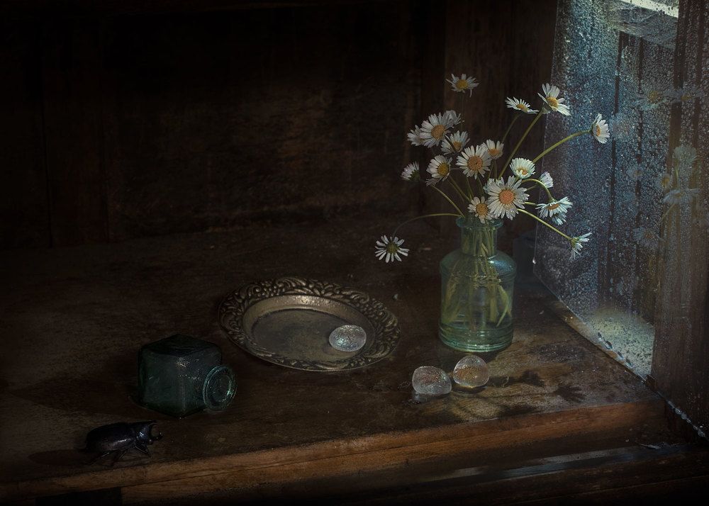 Photograph by Natalia Ricci